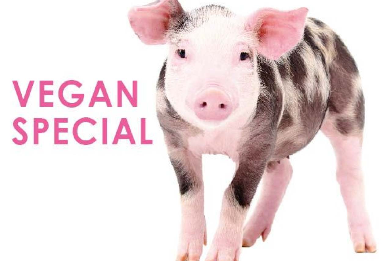 Vegan Special Issue Thanks for downloading Ethical Consumer